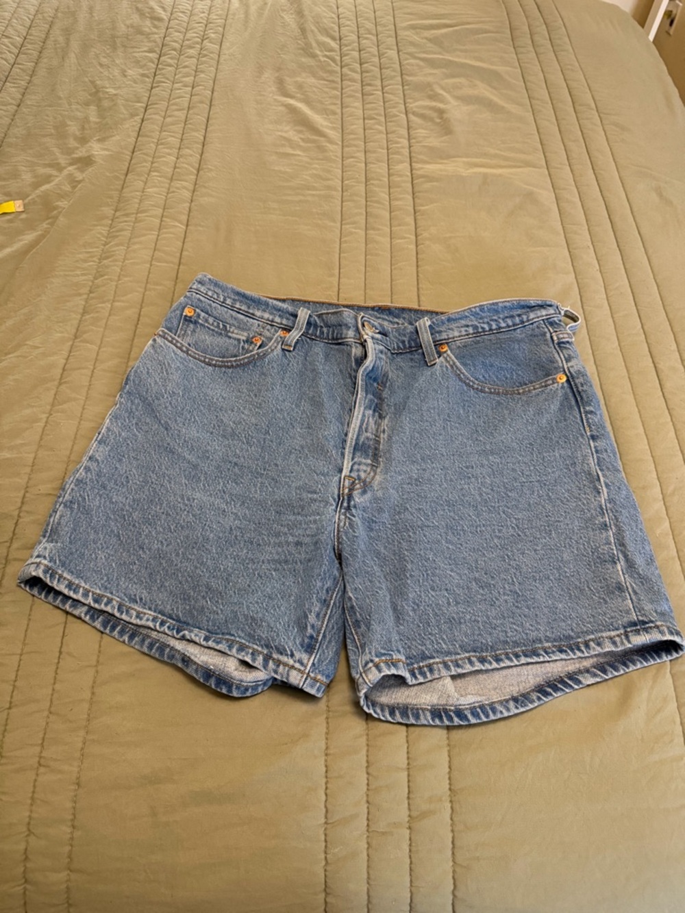 Levi Shorts- Worn once (Size 33)